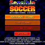 Sensible Soccer International