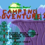 Berenstain Bears Camping Adventure
